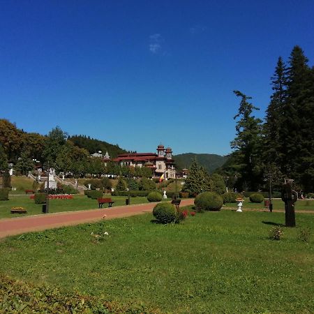 Apartamentul Alfa 슬래닉몰도바 외부 사진