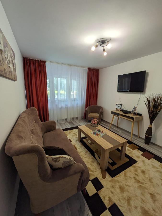 Apartamentul Alfa 슬래닉몰도바 외부 사진
