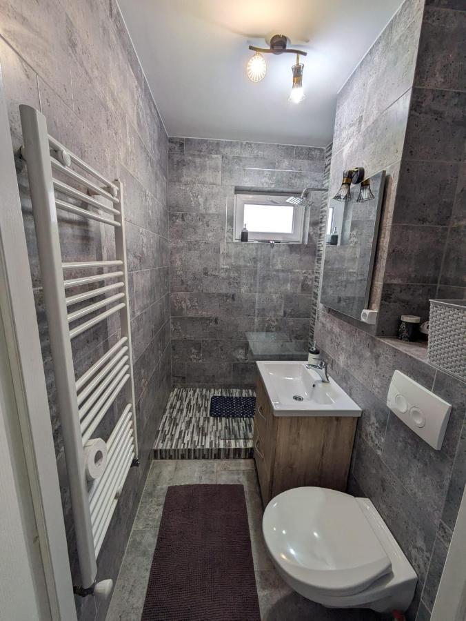 Apartamentul Alfa 슬래닉몰도바 외부 사진