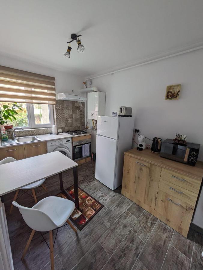 Apartamentul Alfa 슬래닉몰도바 외부 사진