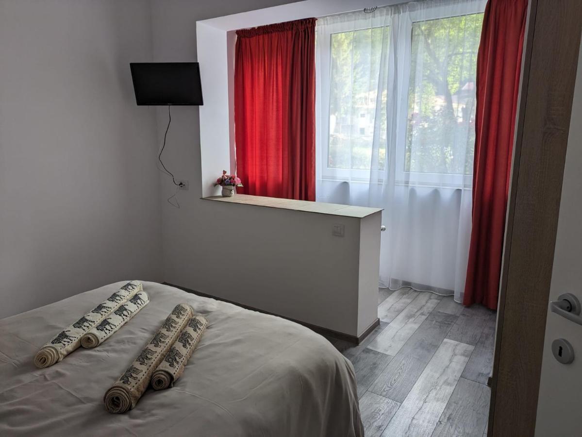 Apartamentul Alfa 슬래닉몰도바 외부 사진
