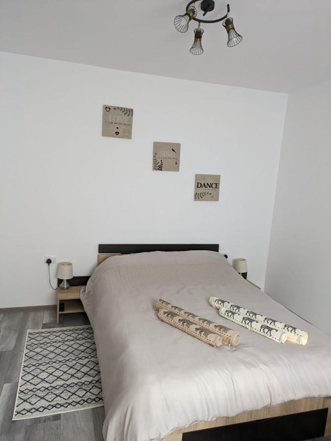Apartamentul Alfa 슬래닉몰도바 외부 사진